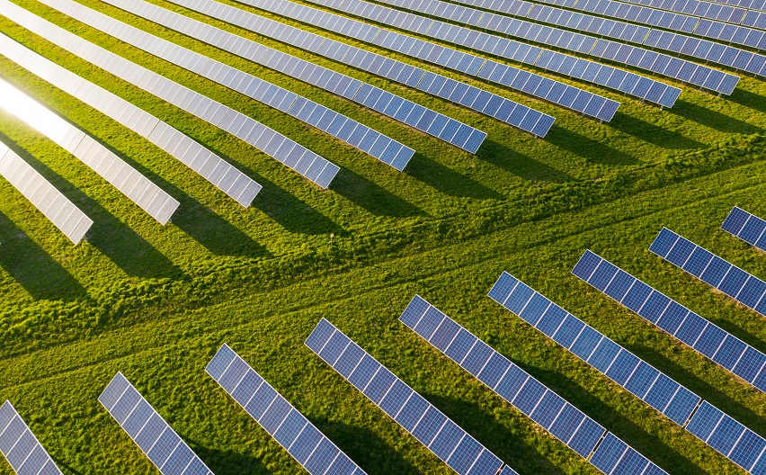 Solarmodule Consilium
