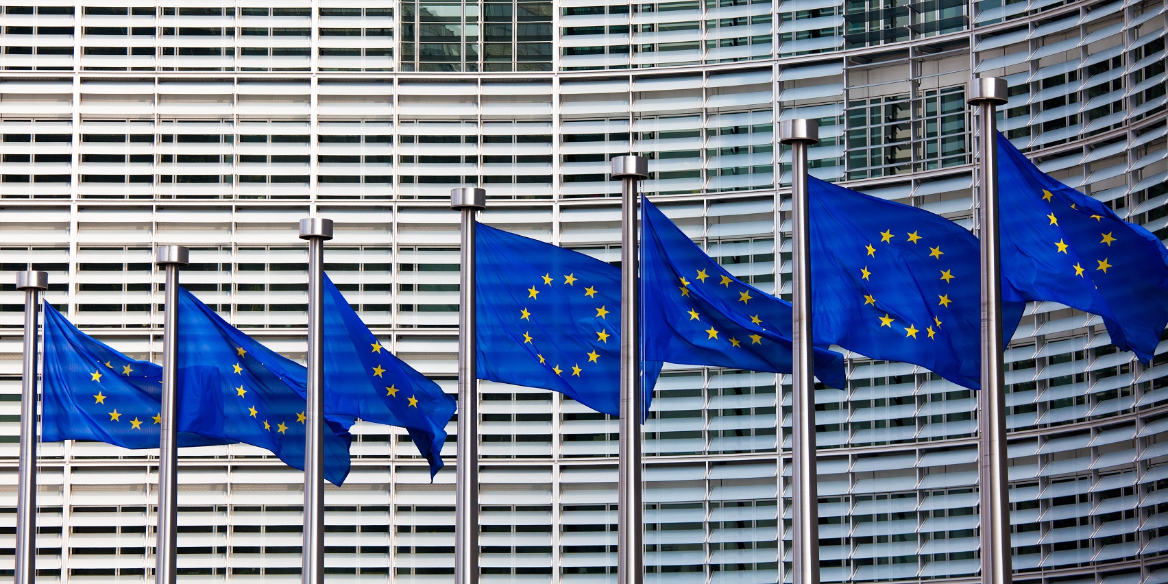 Europäische erneuerbare Energien Consilium