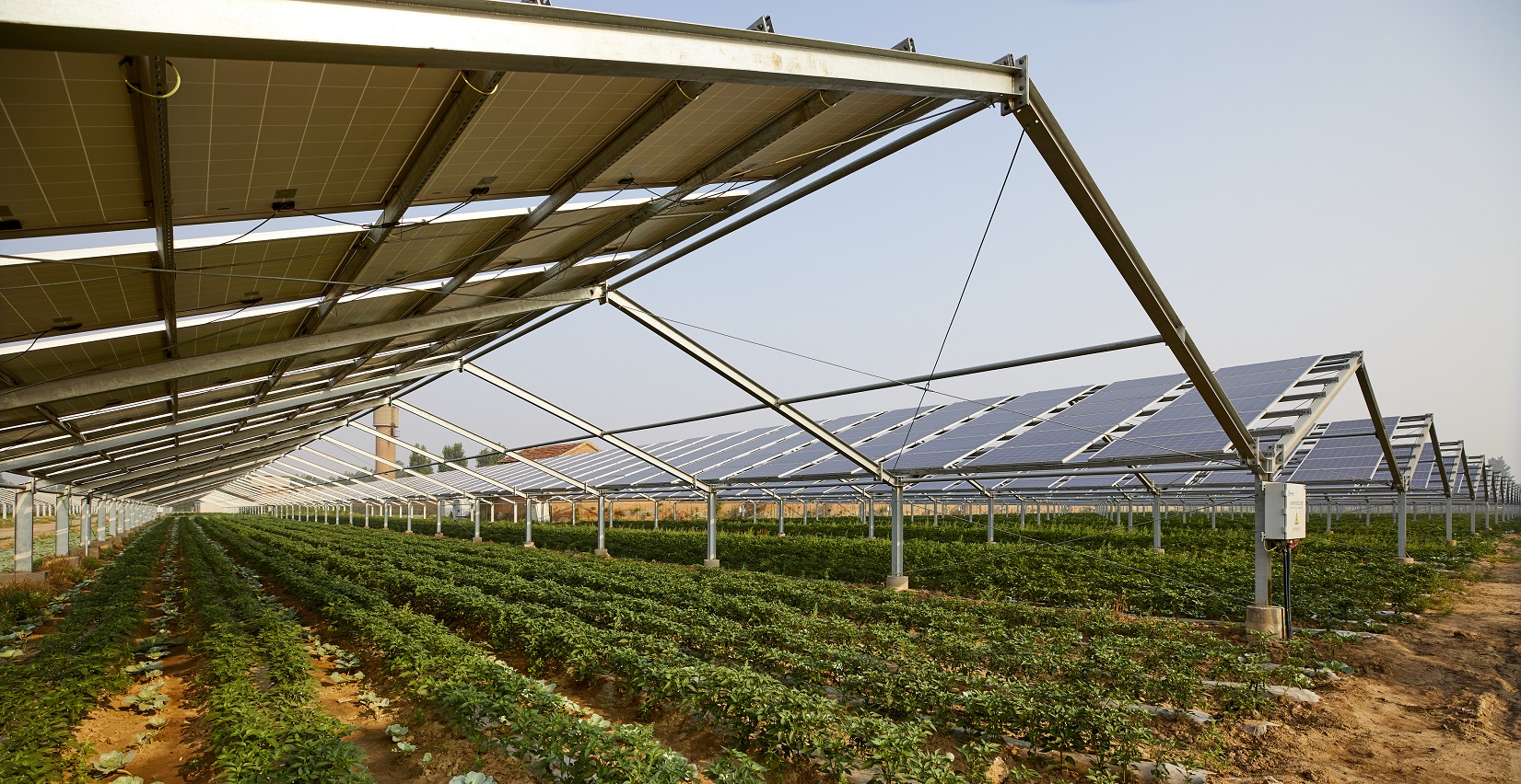 Agri Photovoltaik Consilium